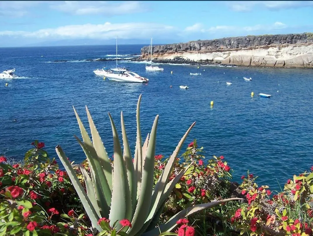 Apartment Compostela Beach Playa de las Americas  0*, Playa de las Americas (Tenerife)